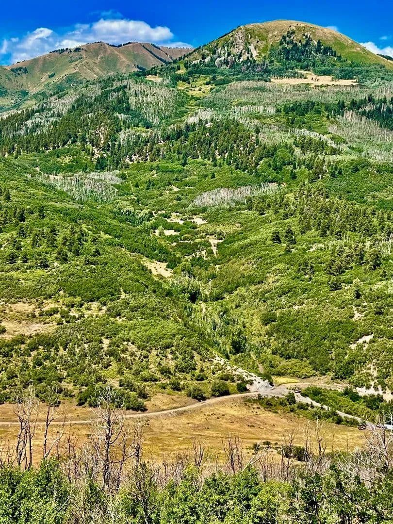 Big Stick Ranch - Durango, Colorado, 81301