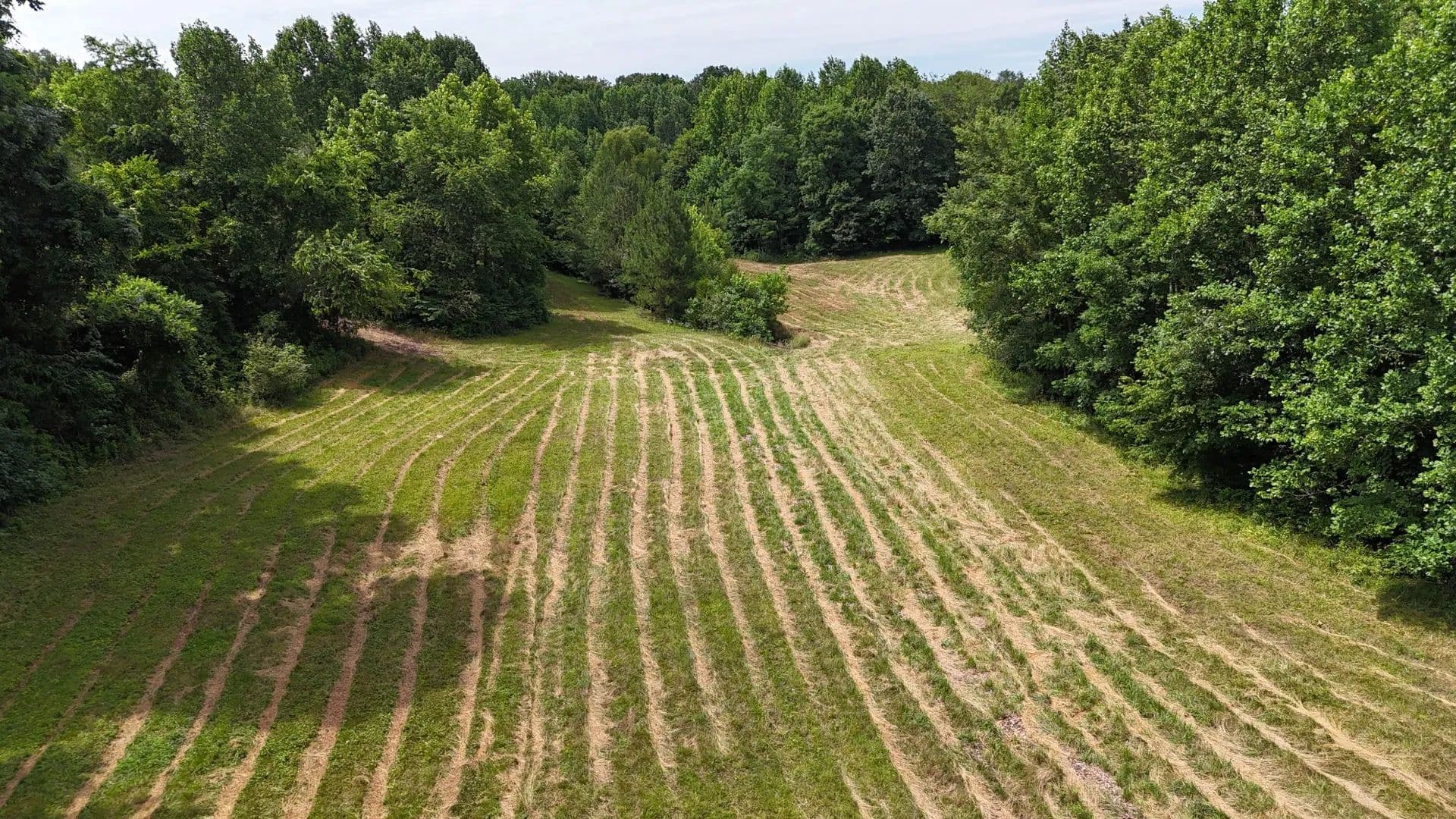 Property from 0 Sulphur Creek Road - KW - Big Sandy, Tennessee, 38221