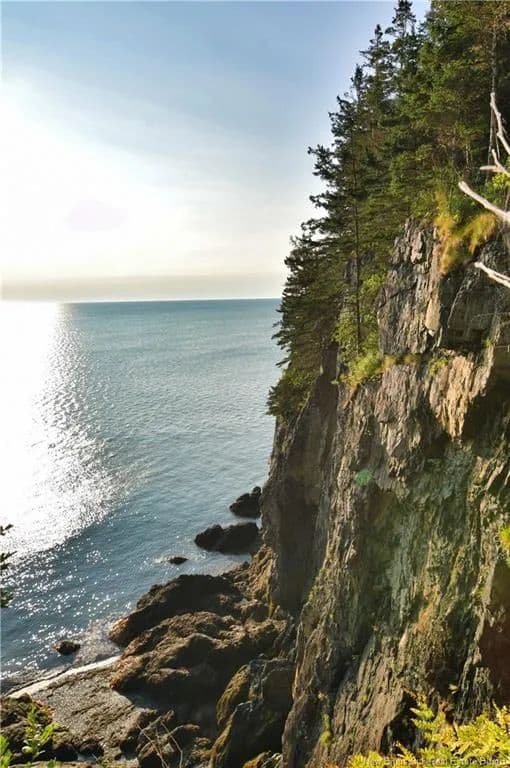 Land for Sale in Wilsons Beach, NB - land for sale