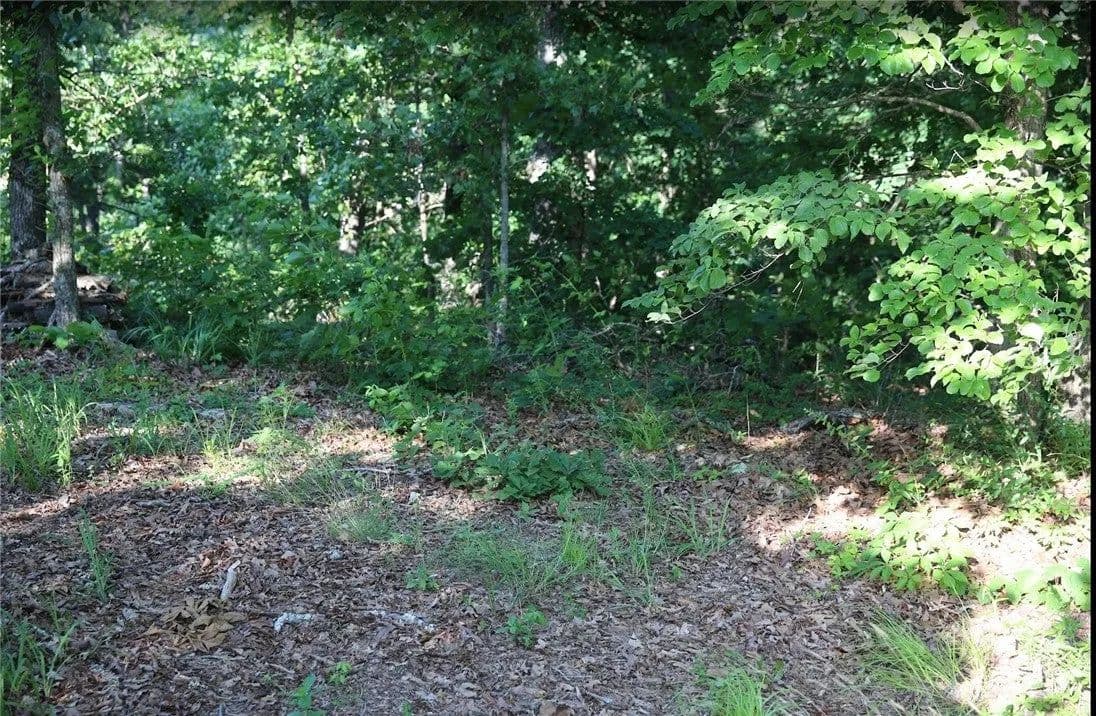 Lots & Land-Other in Bella Vista - Bella Vista, Arkansas, 72715