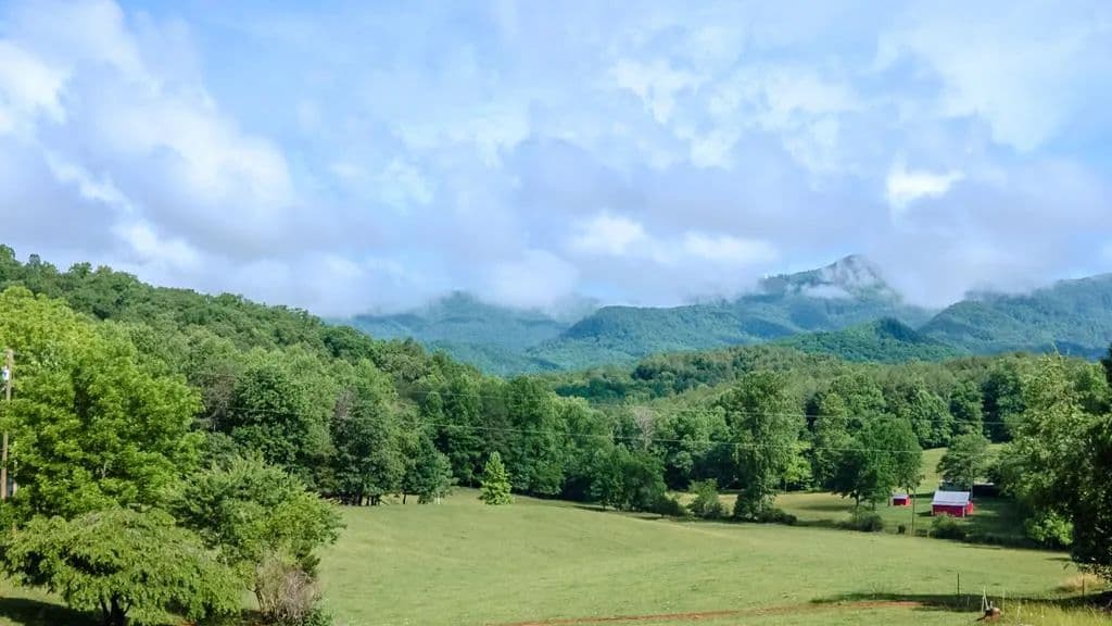 Property from 700 Ned Hill Road - KW - Franklin, North Carolina, 28734