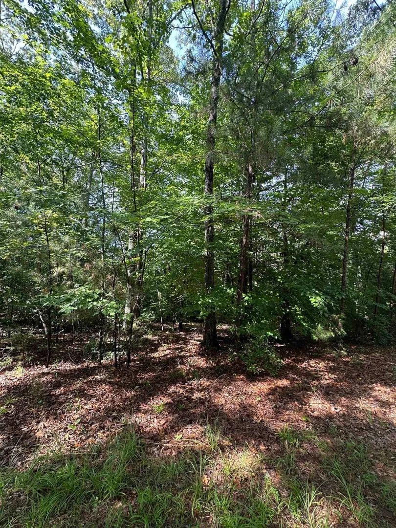 Vacant Land in Union - Union, South Carolina, 29379