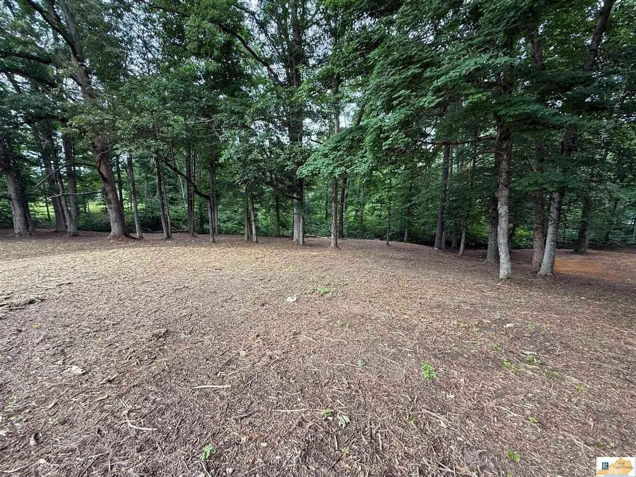 Property from 55 Brewster Lane - KW - Columbia, Kentucky, 42728