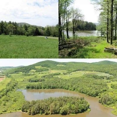 Land -Single Family Acreage in Stamford - Stamford, New York, 12167