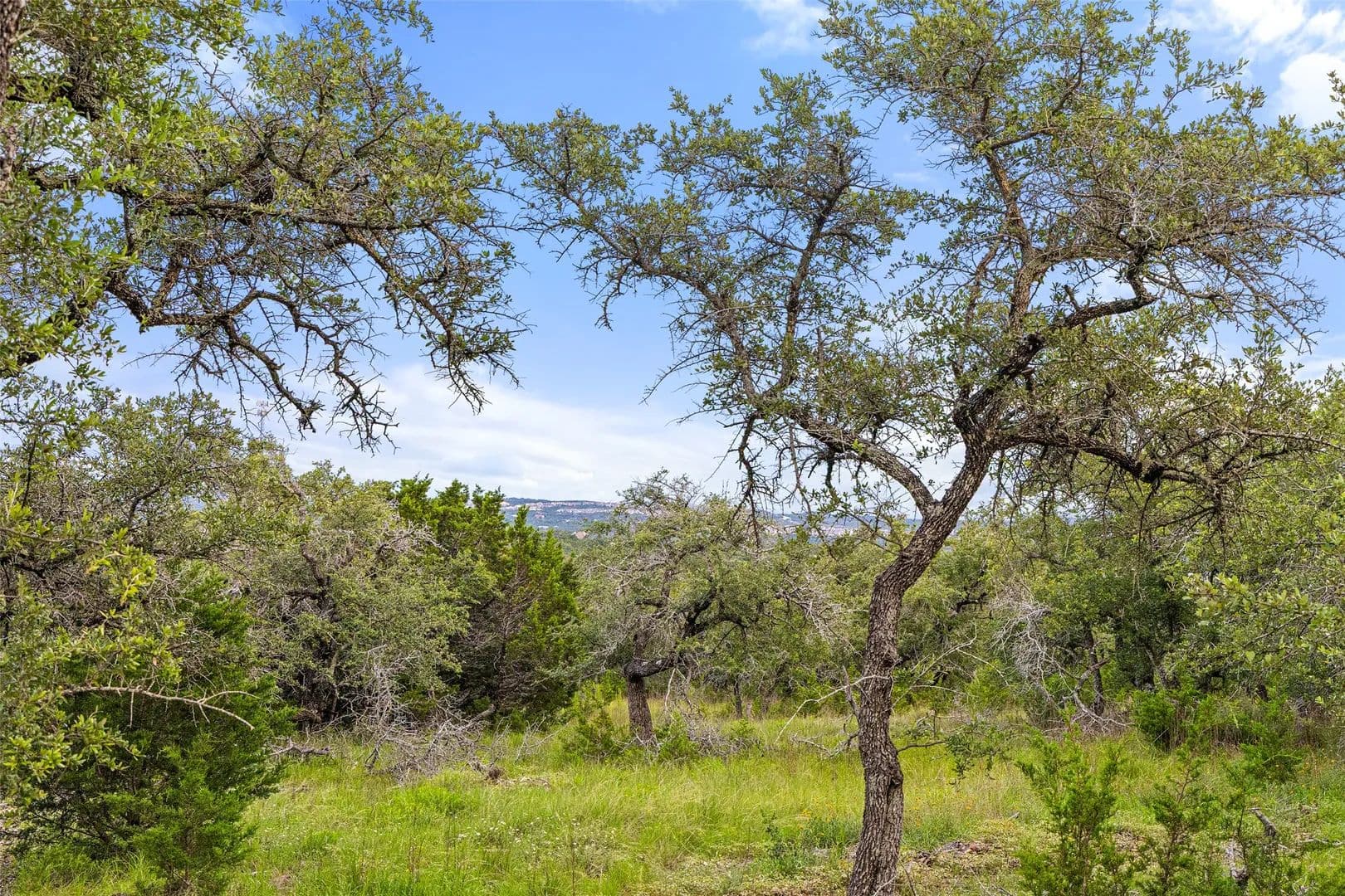 1.43 Acres of Land for Sale in Dripping Springs, TX - Dripping Springs, Texas, 78620