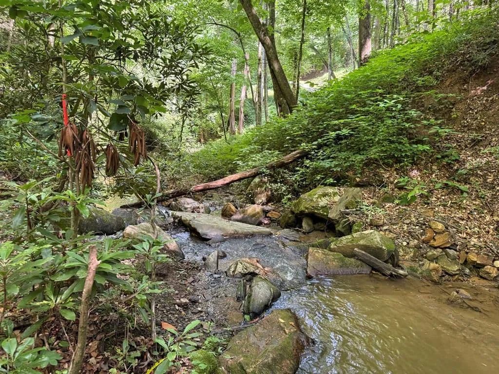 Property from 700 Copperhead Cove - KW - Sylva, North Carolina, 28779
