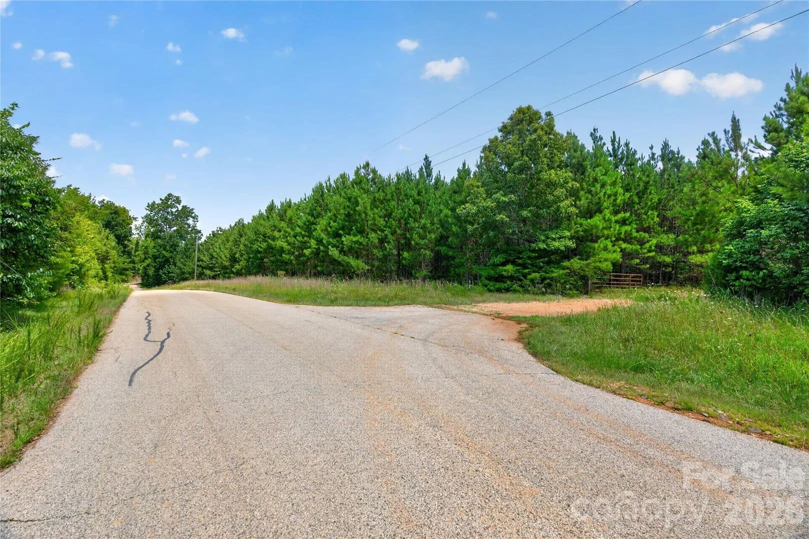 30 Acres of Land for Sale in Sharon, SC - land for sale