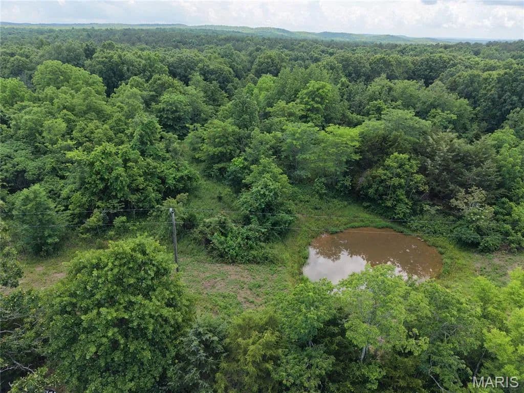 Property from 000 160 Highway - KW - , Missouri, 63942