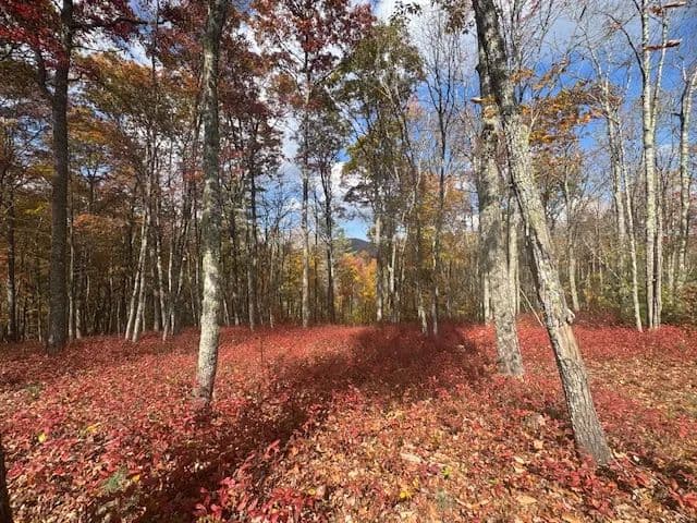 Property from 00 Blazing Star Trail - KW - Glenville, North Carolina, 28736