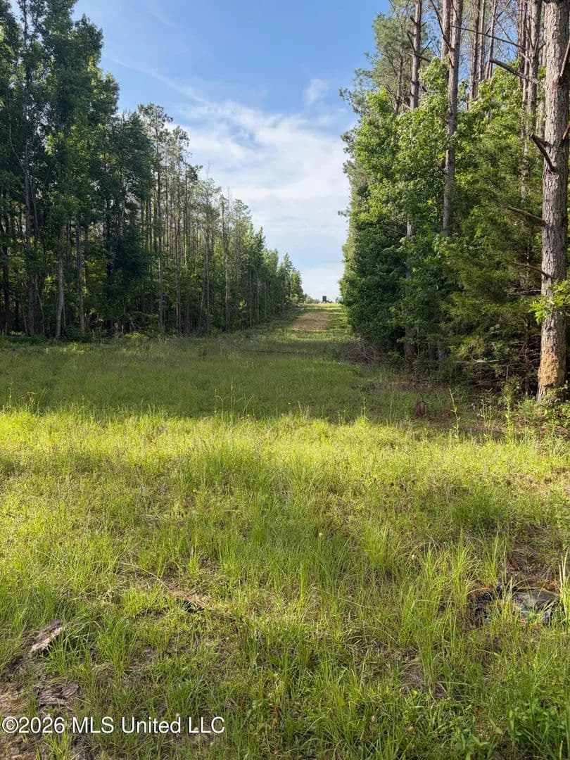 Property from County Road 159 - KW - Coila, Mississippi, 38923