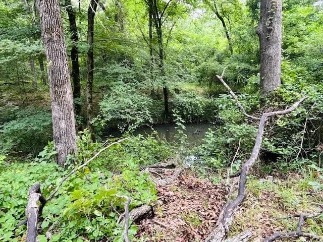 24 Acres of Land for Sale in Fruitvale, Texas - Fruitvale, Texas, 75127