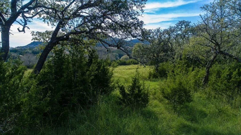6.08 Acres of Land for Sale in Blanco, Texas - Blanco, Texas, 78606