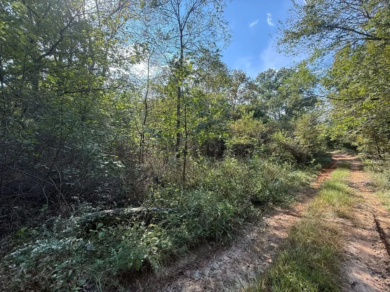Spring Creek in Beulah, Missouri - photo 2