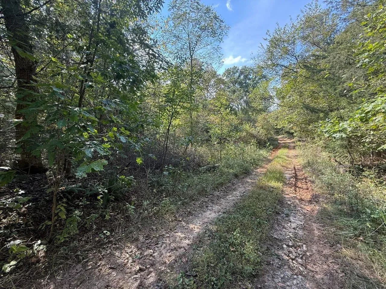 Spring Creek in Beulah, Missouri - photo 10