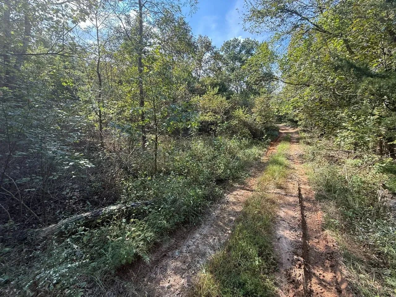Spring Creek in Beulah, Missouri - photo 8