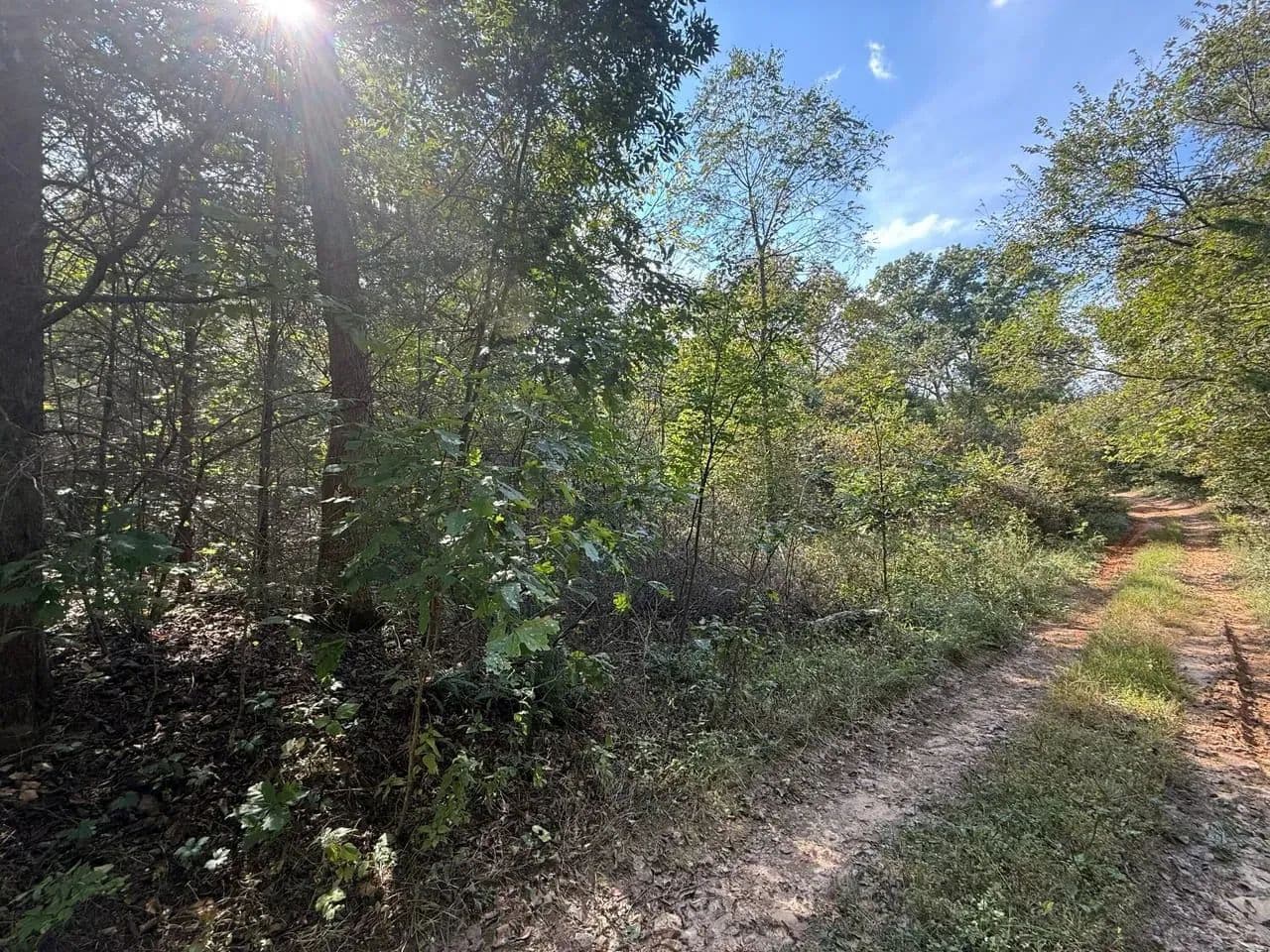 Spring Creek in Beulah, Missouri - photo 11