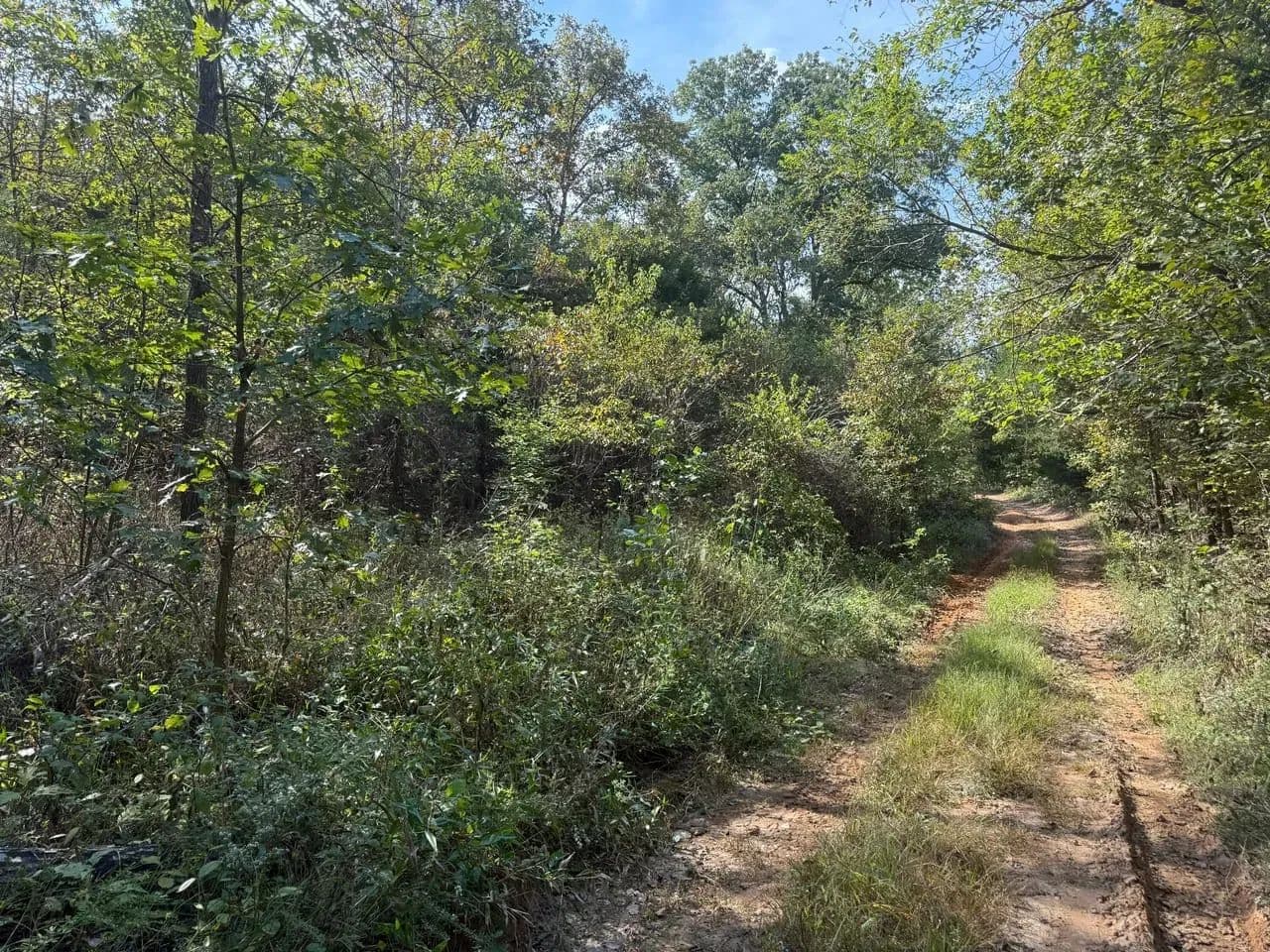 Spring Creek in Beulah, Missouri - photo 5
