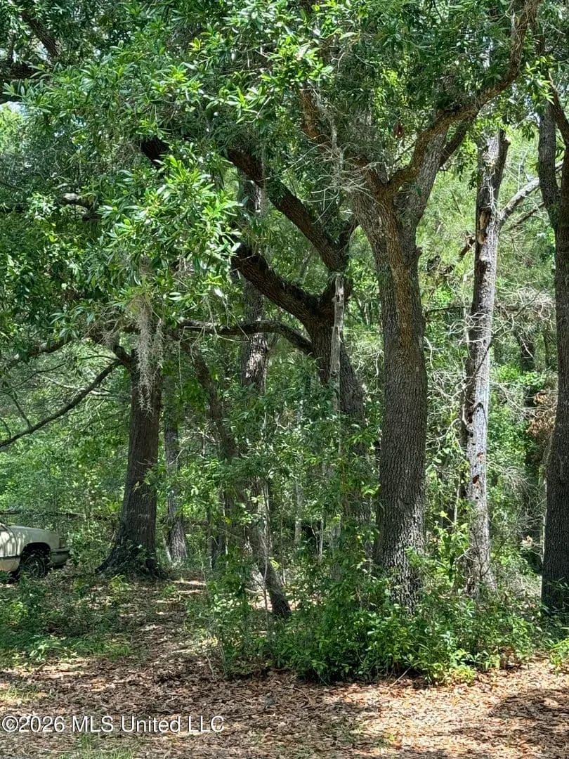 Vacant Land in Waveland - Waveland, Mississippi, 39576