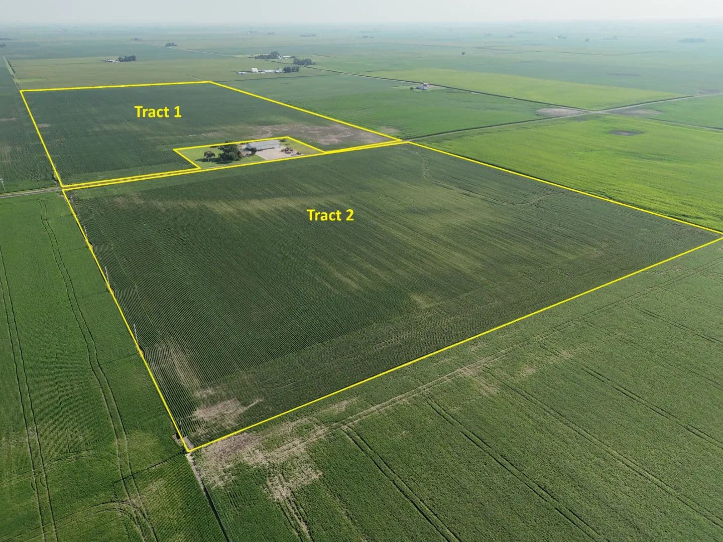 The Knollenberg Trust Farmland Auction | 116.12 +/- Acres | Coles County, IL - land for sale
