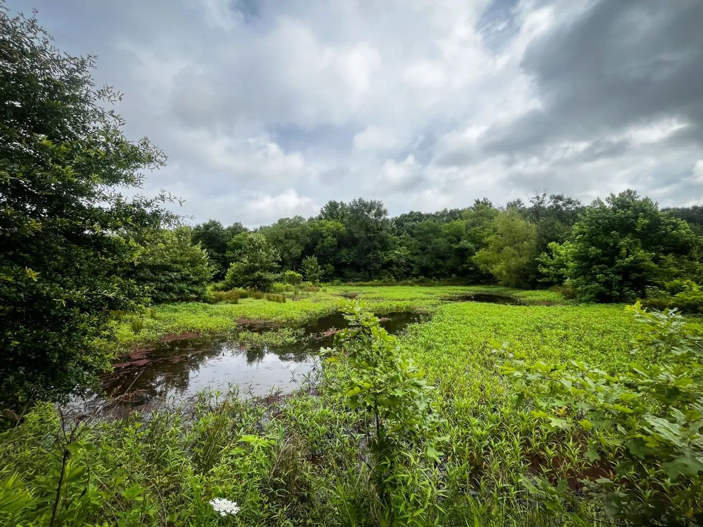 80 Acres with a Small Camp in Nevada County, AR - Emmet, Arkansas, 71835