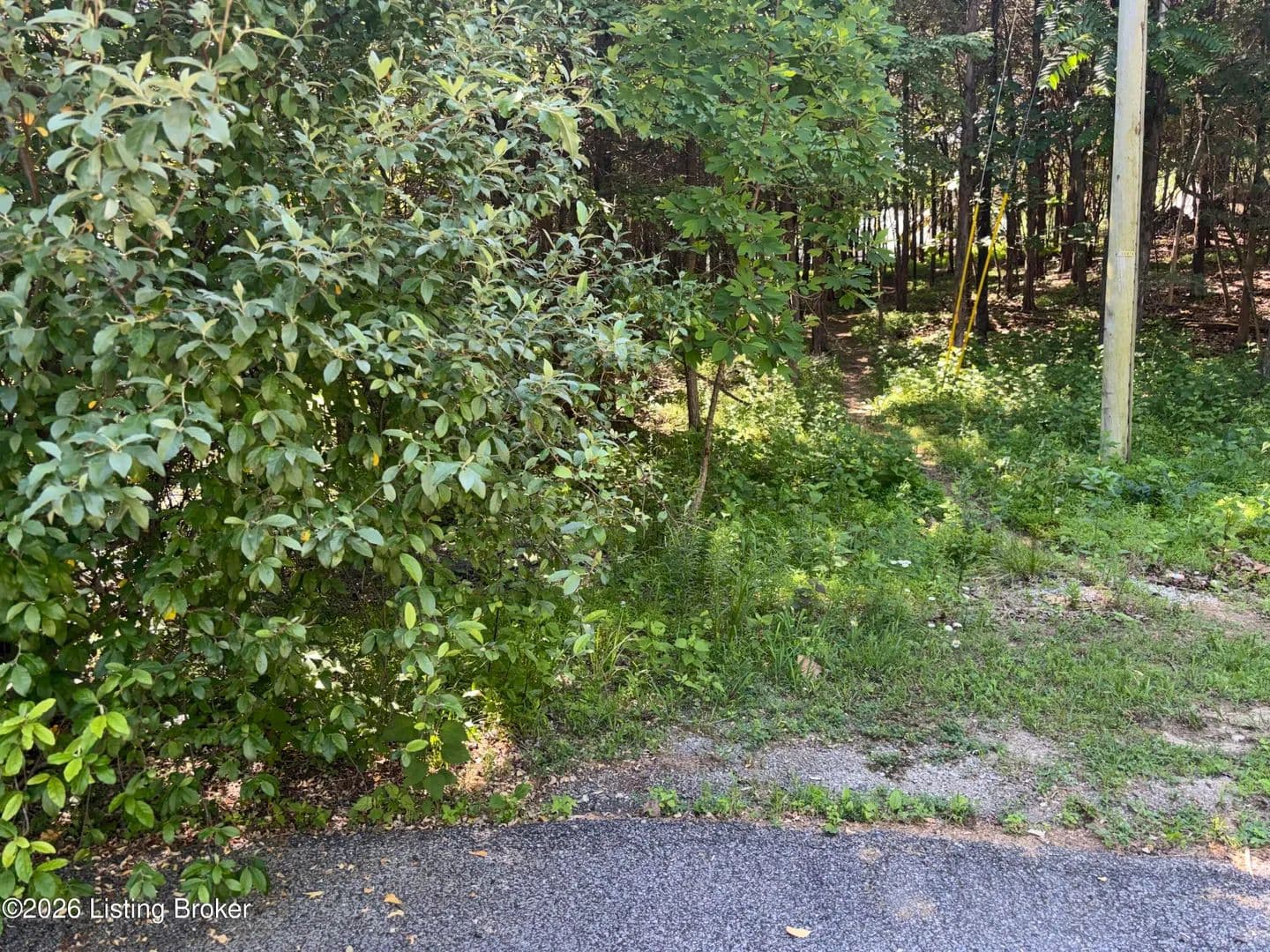 Property from 304 Robin Way - KW - Brandenburg, Kentucky, 40108