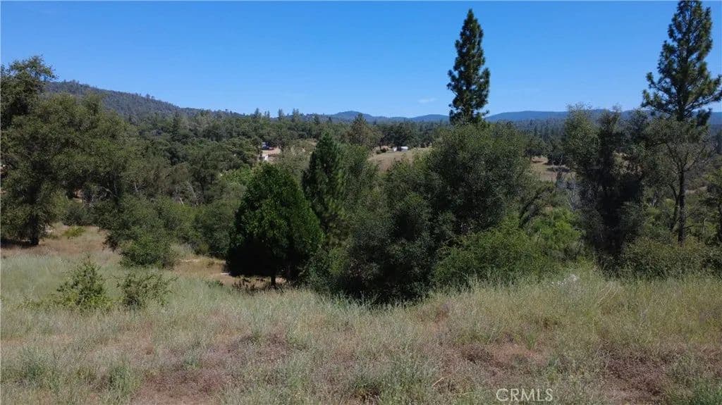 3.8 Acres of Land for Sale in Bangor, CA - Bangor, California, 95914