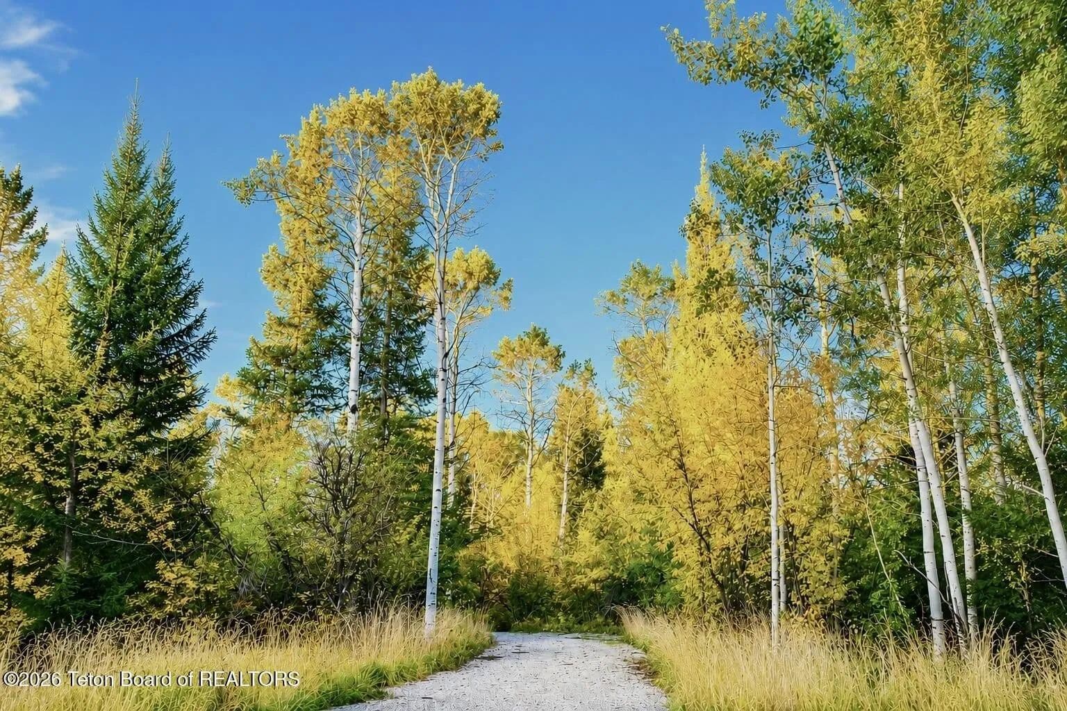 Lots & Land-Other in Alta - Alta, Wyoming, 83414