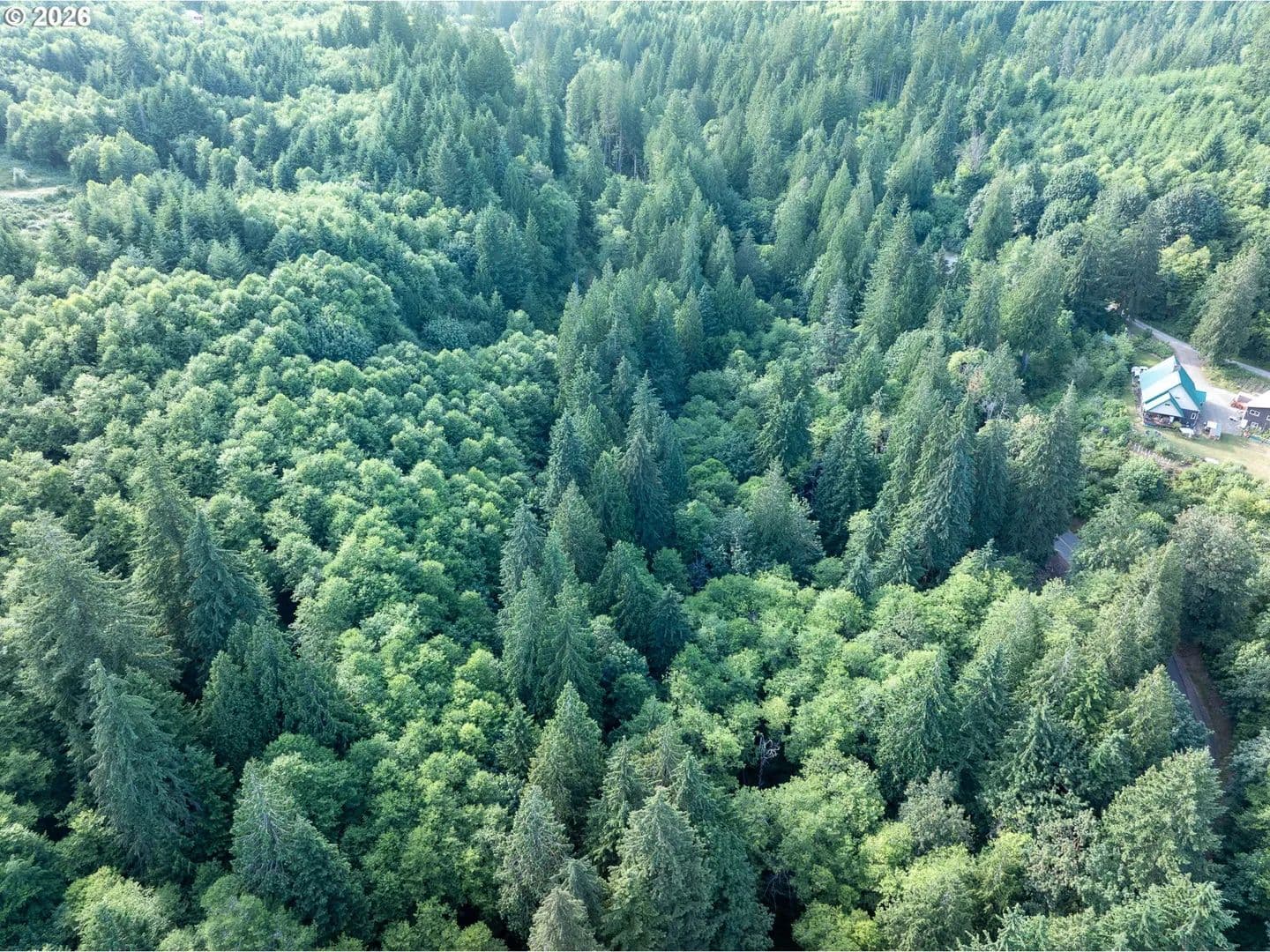 5 Acres of Land for Sale in Ariel, WA - Ariel, Washington, 98603
