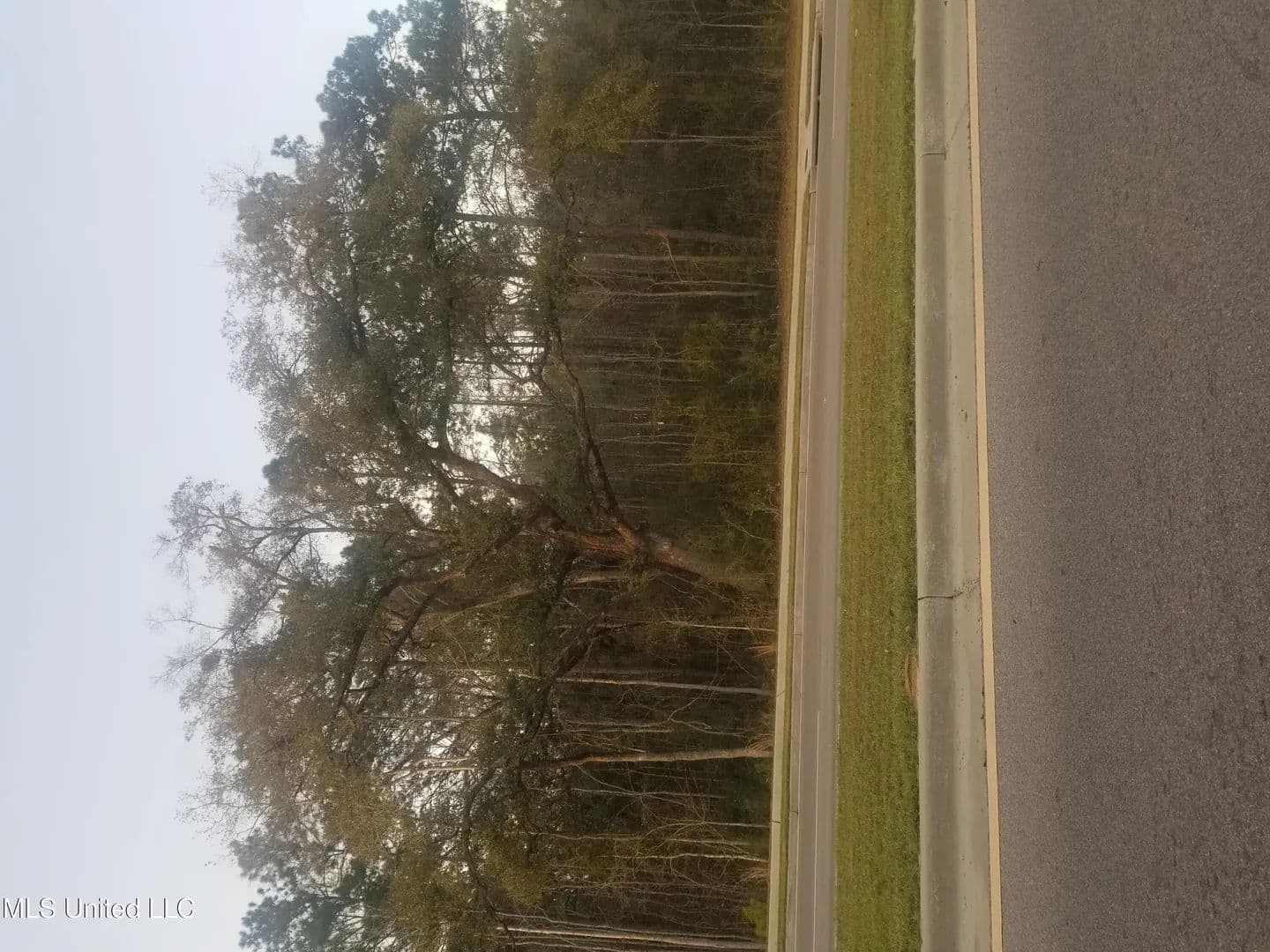 Property from Daisy Vestry Road - KW - Biloxi, Mississippi, 39532