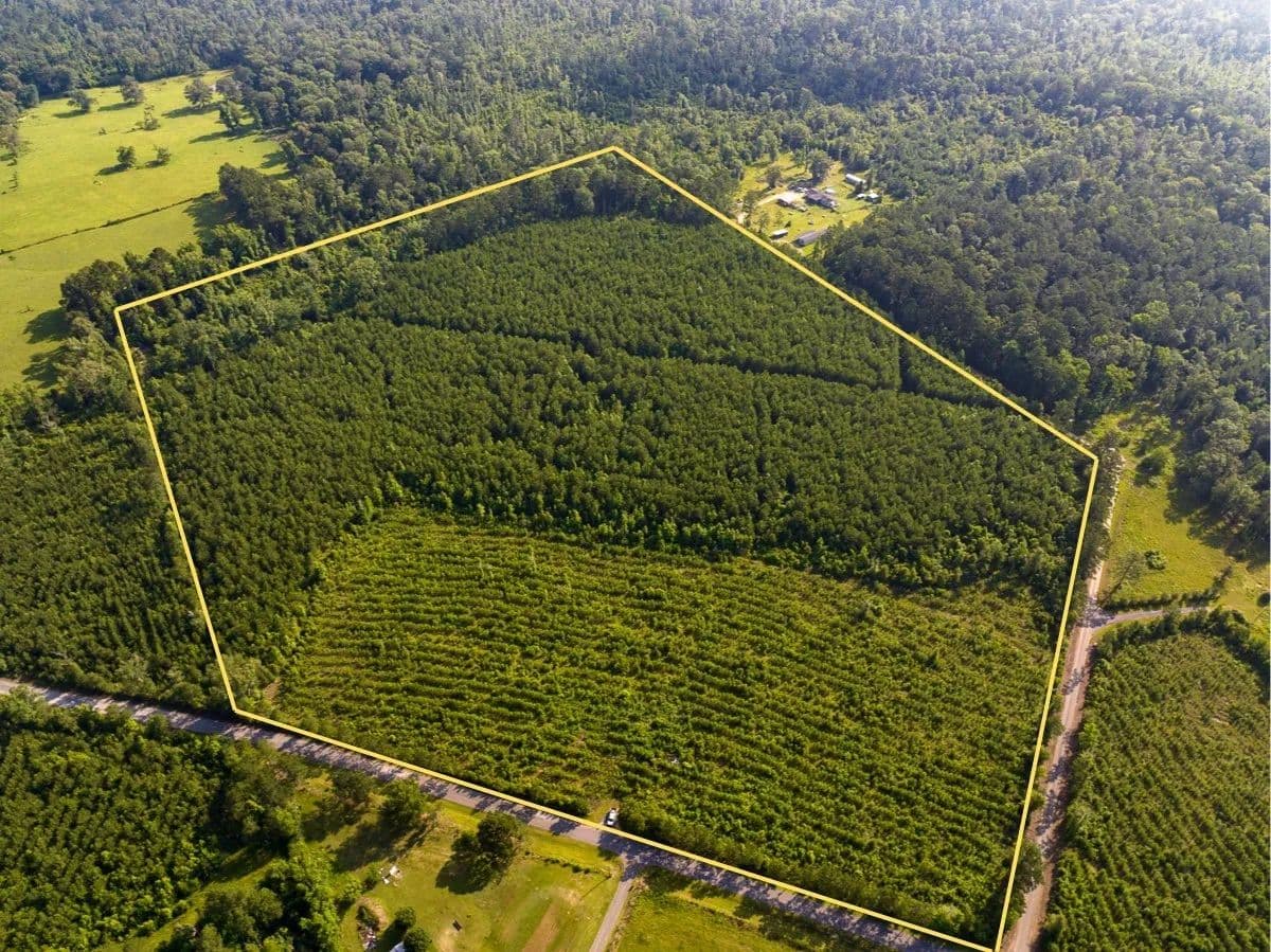 48 Acres of Land for Sale in Pitkin, Louisiana - Pitkin, Louisiana, 70656