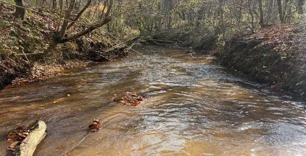 176.5 Acres in Newton County in Little Rock, MS