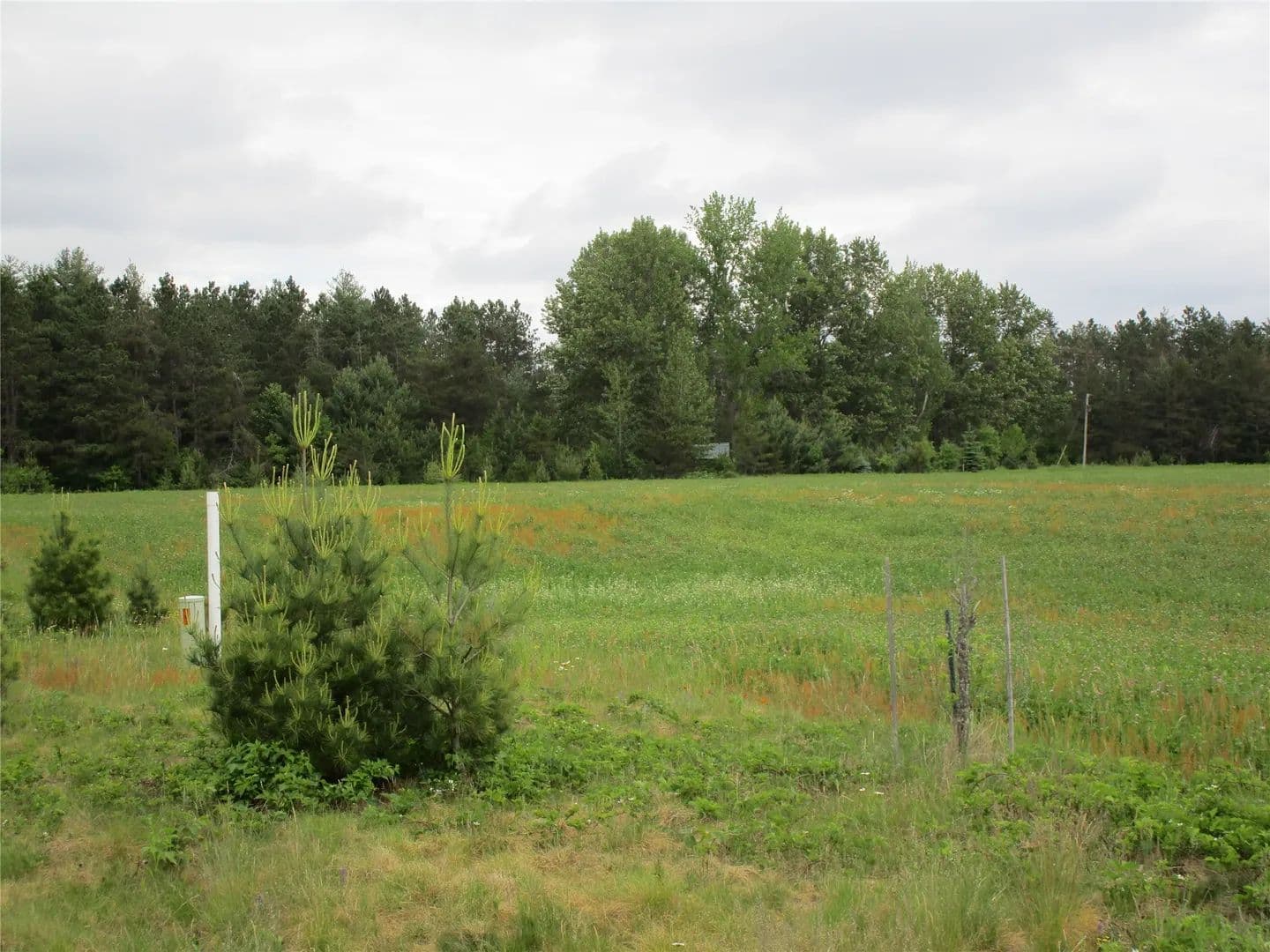 10.78 Acres of Land for Sale in Ladysmith, Wisconsin - Ladysmith, Wisconsin, 54848