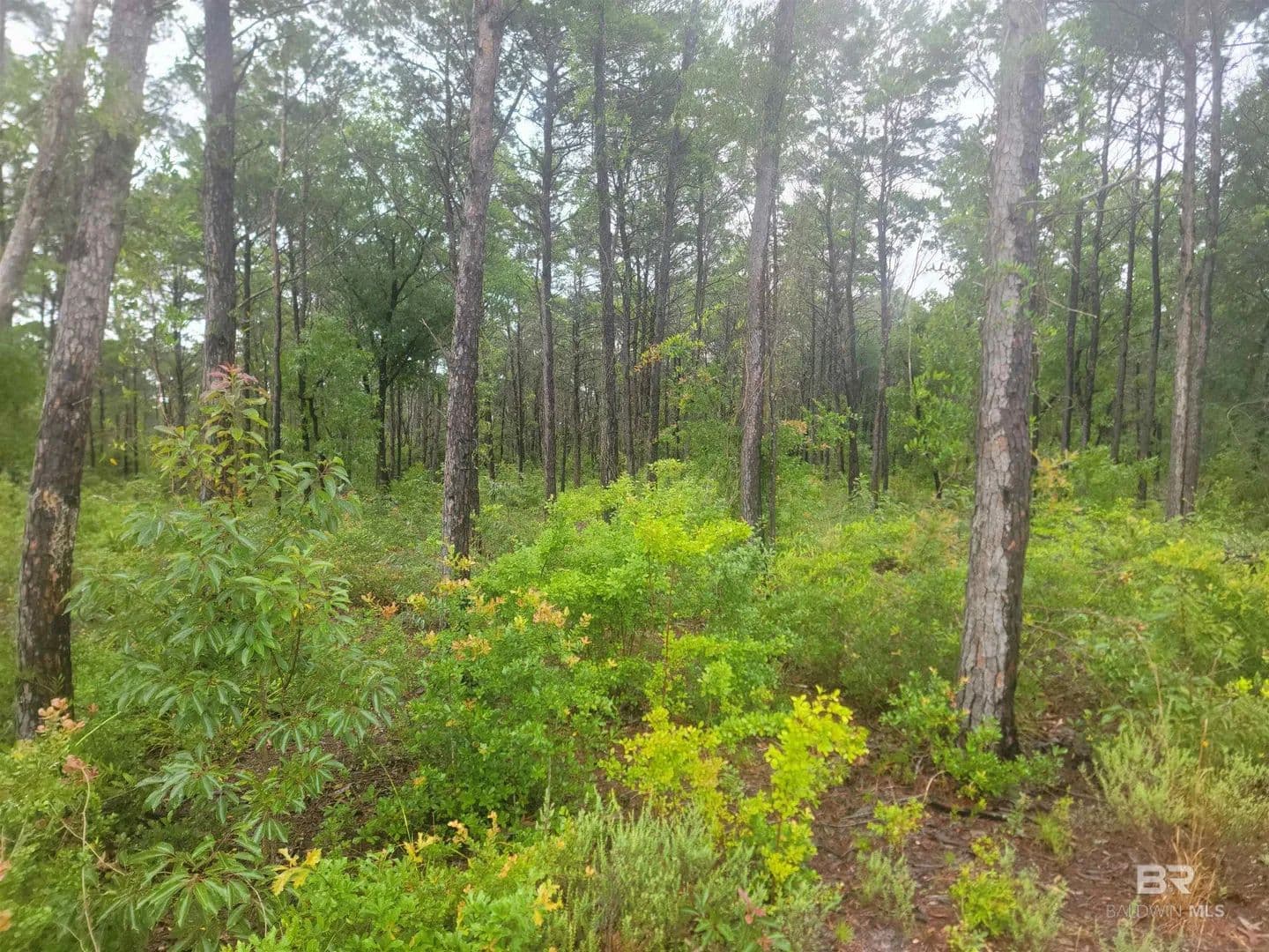 Property from 0 Primrose Lane - KW - Gulf Shores, Alabama, 36542