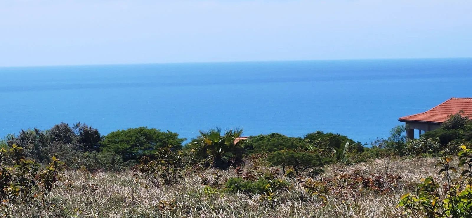 1080 Acres of Land for Sale in Cintsa, Eastern Cape - land for sale