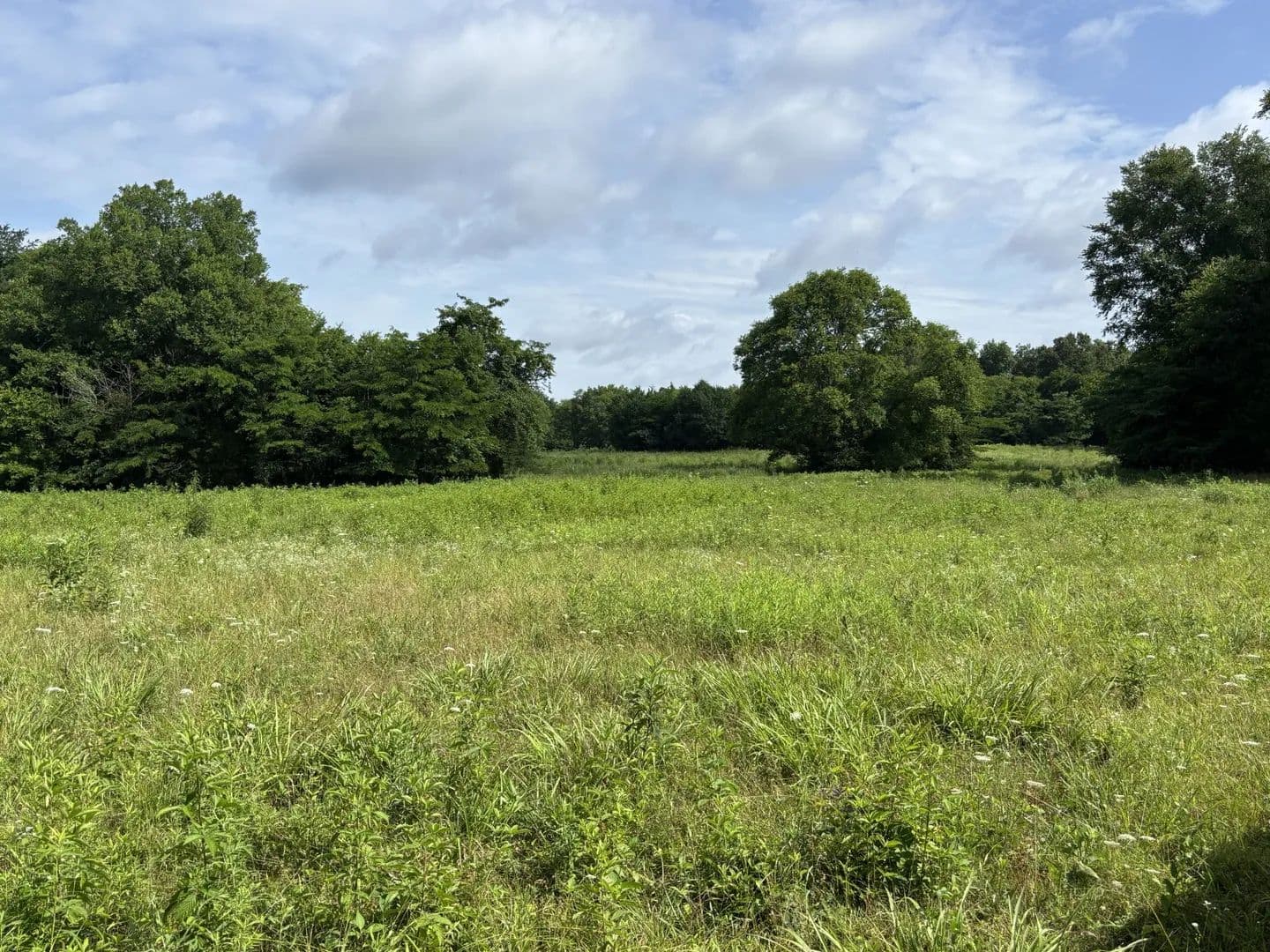 7.34 Acres of Land for Sale in Lebanon, Tennessee - Lebanon, Tennessee, 37090