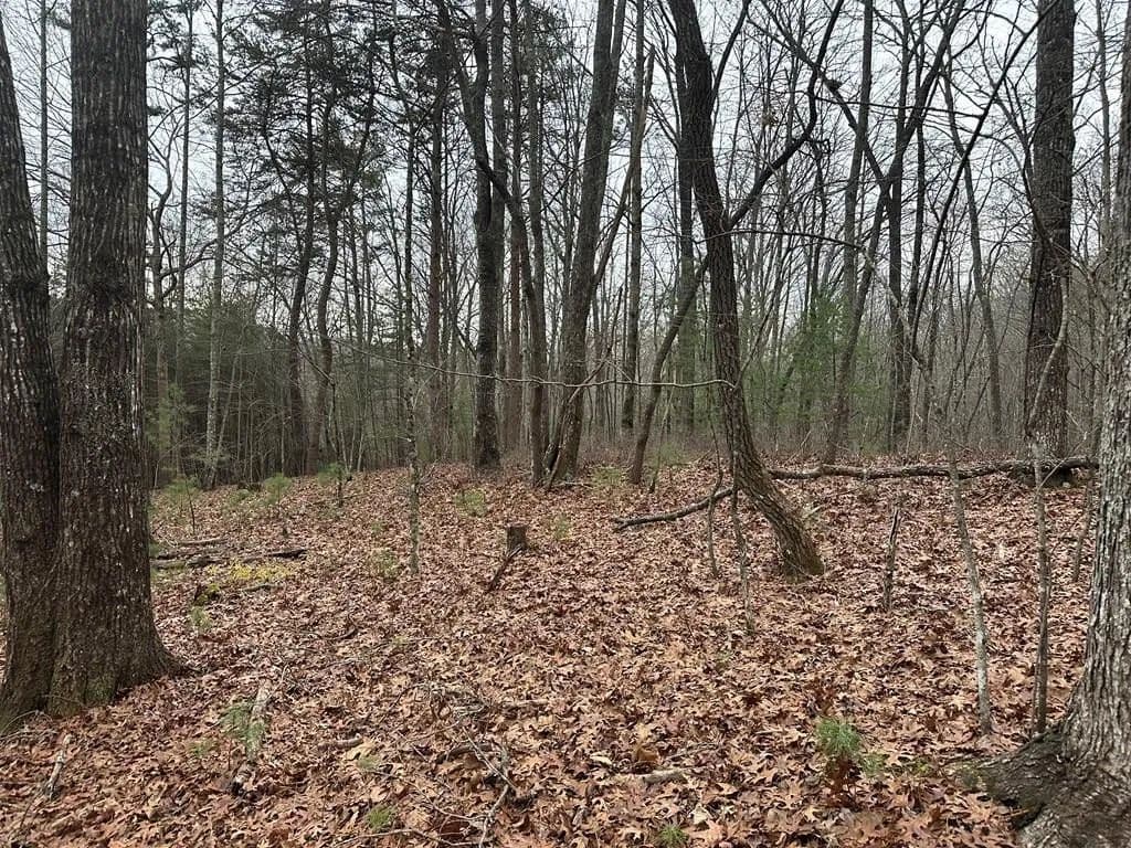 Property from 00 Marrestop - KW - Murphy, North Carolina, 28906
