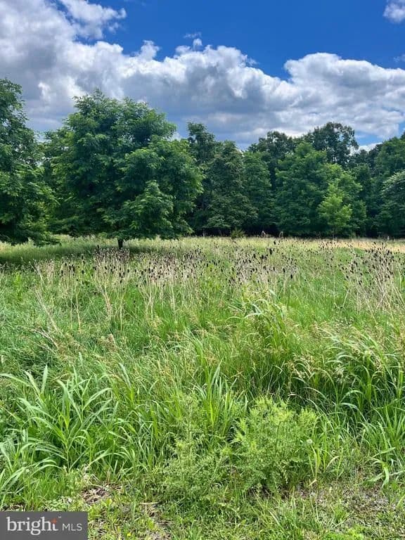 2.05 Acres of Land for Sale in Petersburg, West Virginia - Petersburg, West Virginia, 26847