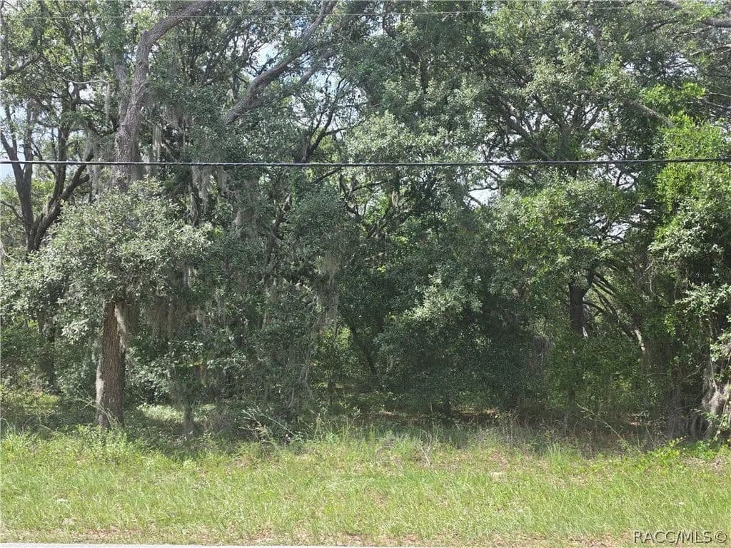 1.01 Acres of Land for Sale in Hernando, FL - Hernando, Florida, 34442