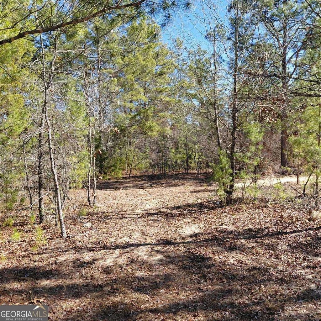 9.17 Acres of Land for Sale in Box Springs, Georgia - Box Springs, Georgia, 31801