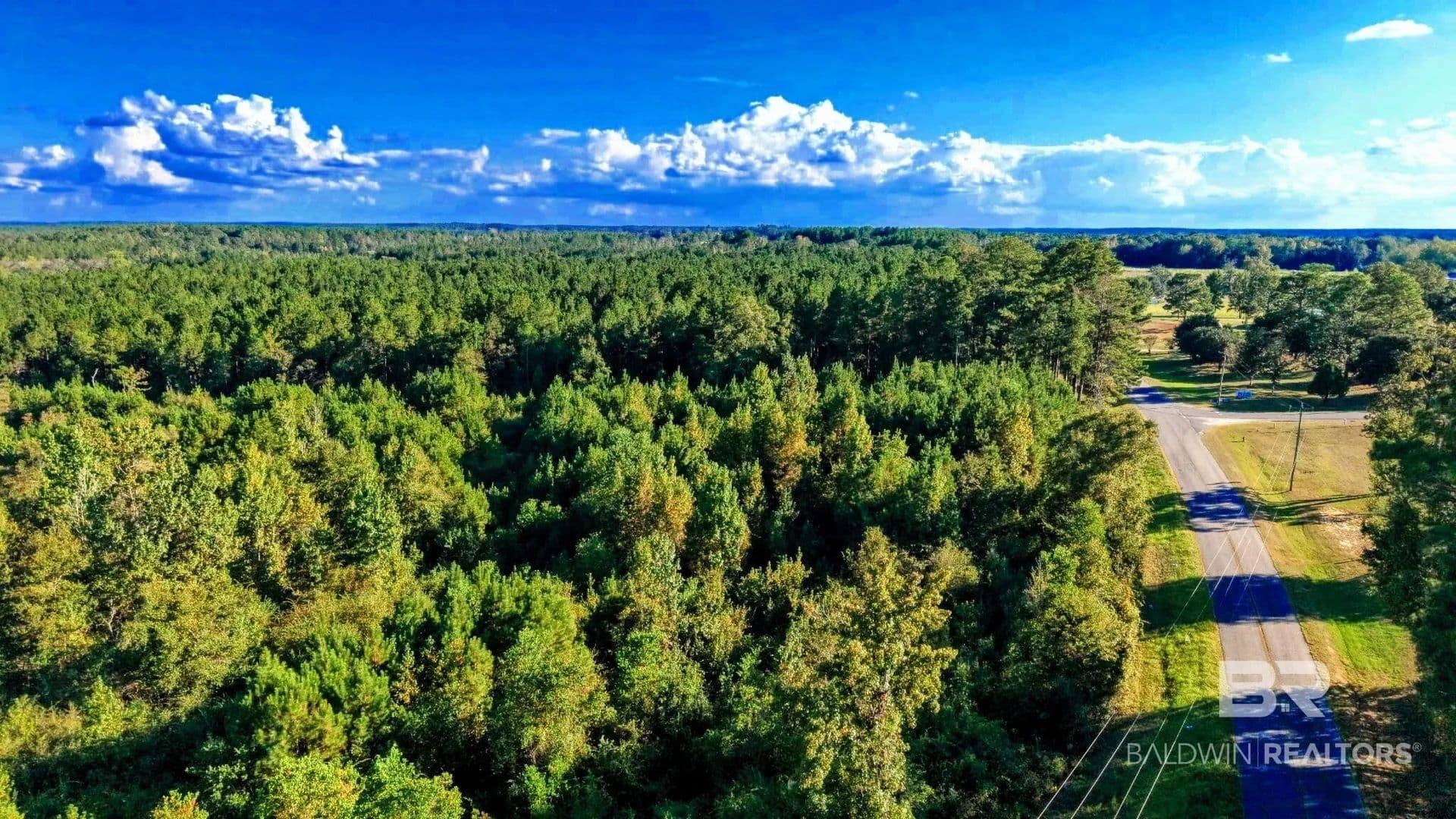 Lots & Land-Other in Millry - Millry, Alabama, 36558