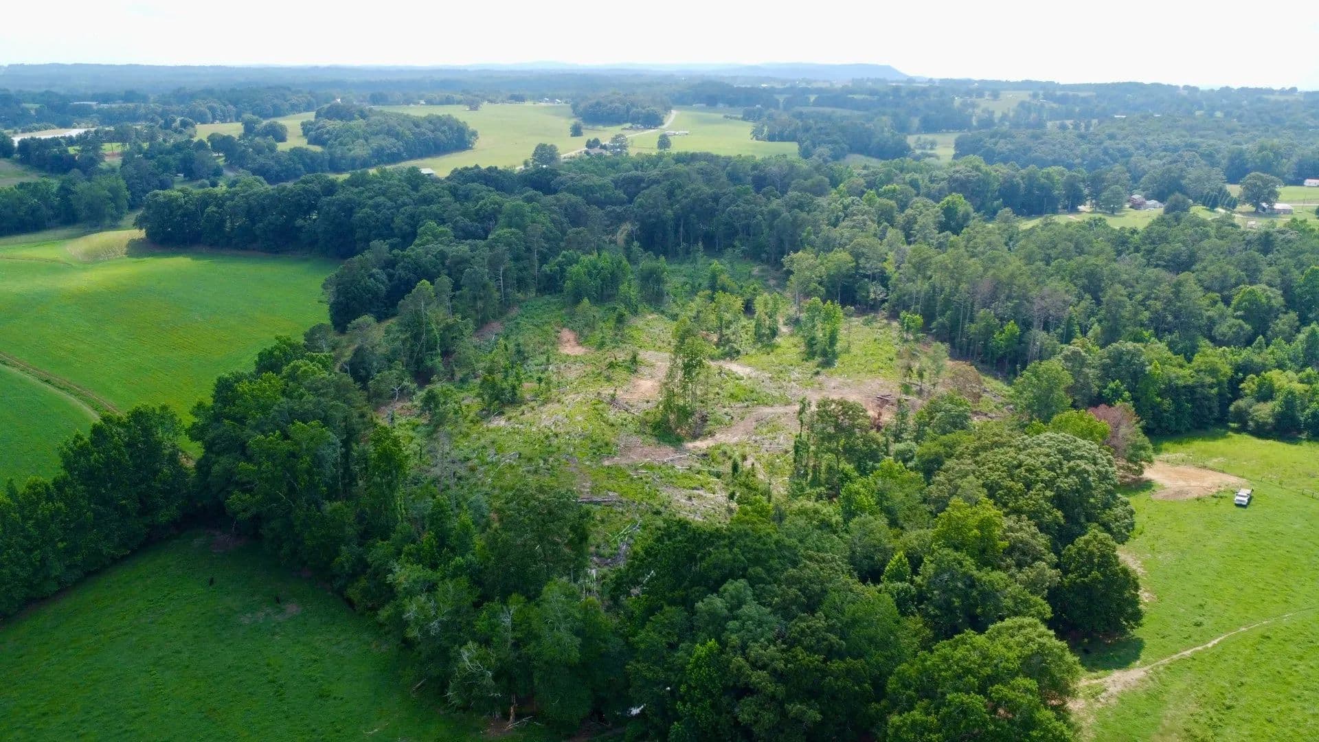 10 +/- Acres with Homesites and Creek in Ranburne, Alabama - Ranburne, Alabama, 36273