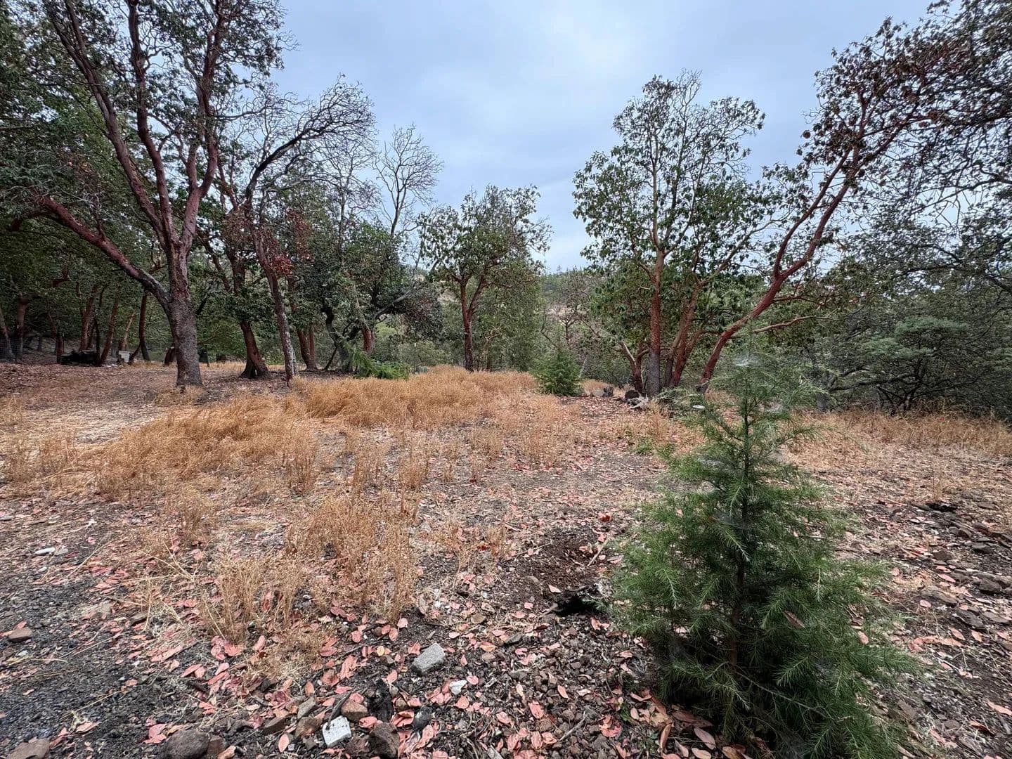 18.75-Acre View Property in the Foothills of East Medford - land for sale