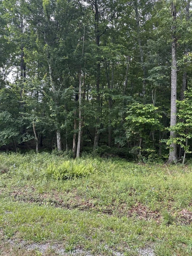 Property from 3031 Shawnee Rd - KW - Crossville, Tennessee, 38572