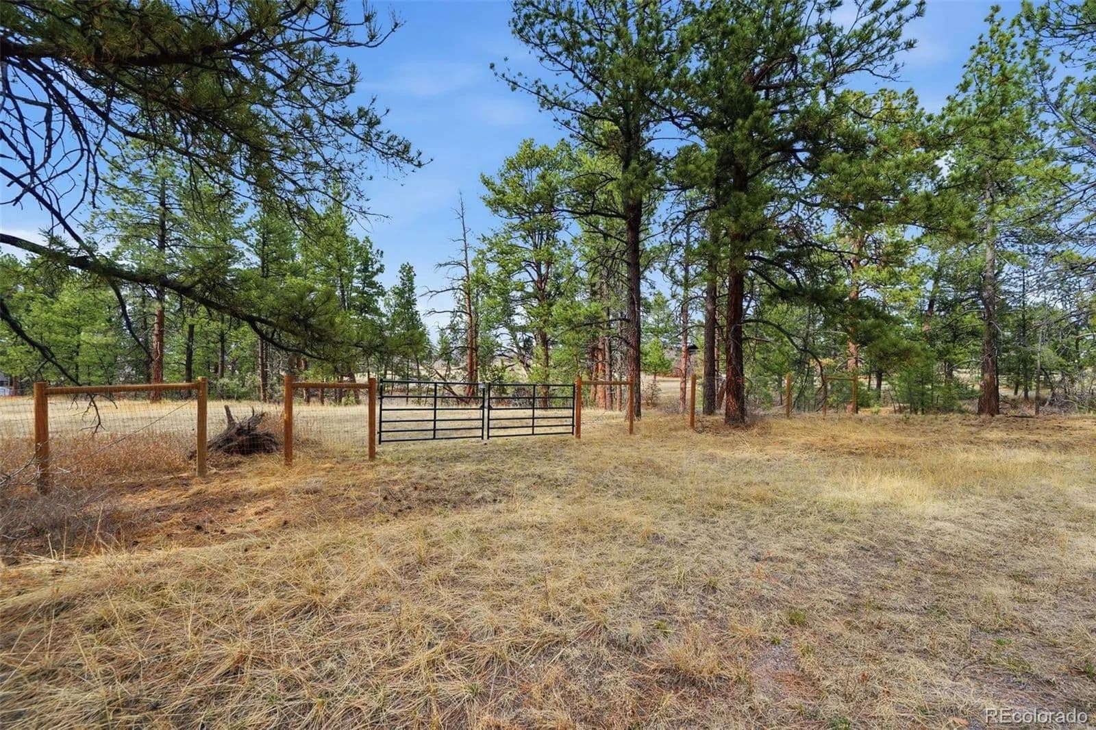 2.92 Acres of Land for Sale in Franktown, CO - Franktown, Colorado, 80116