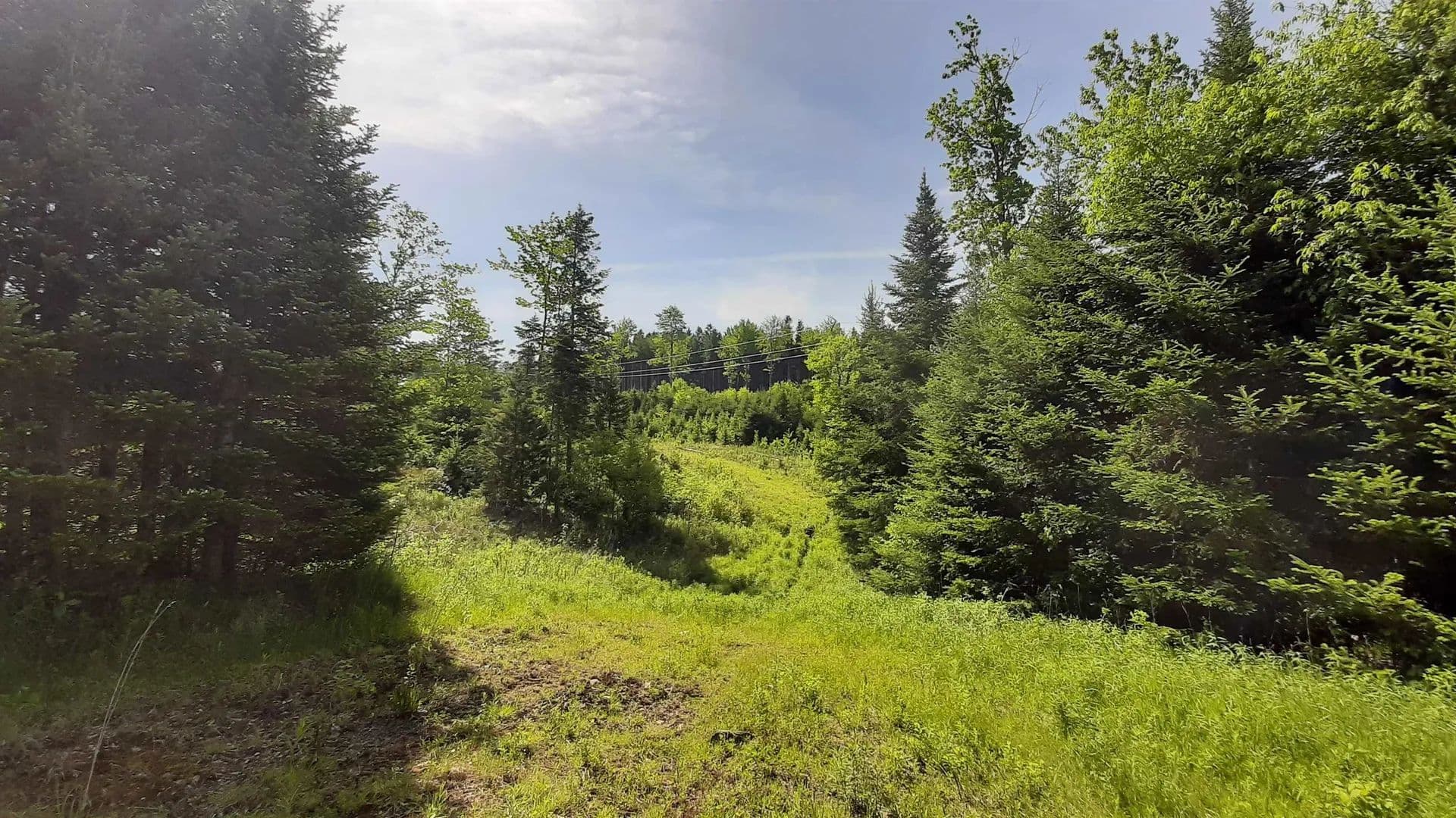 Property from 0 Summit Road - KW - Mount Holly, Vermont, 5758