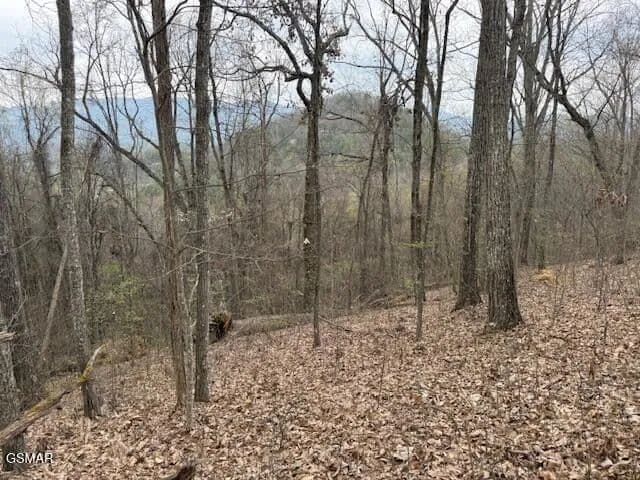 17.01 Acres of Land for Sale in Sevierville, Tennessee - Sevierville, Tennessee, 37876