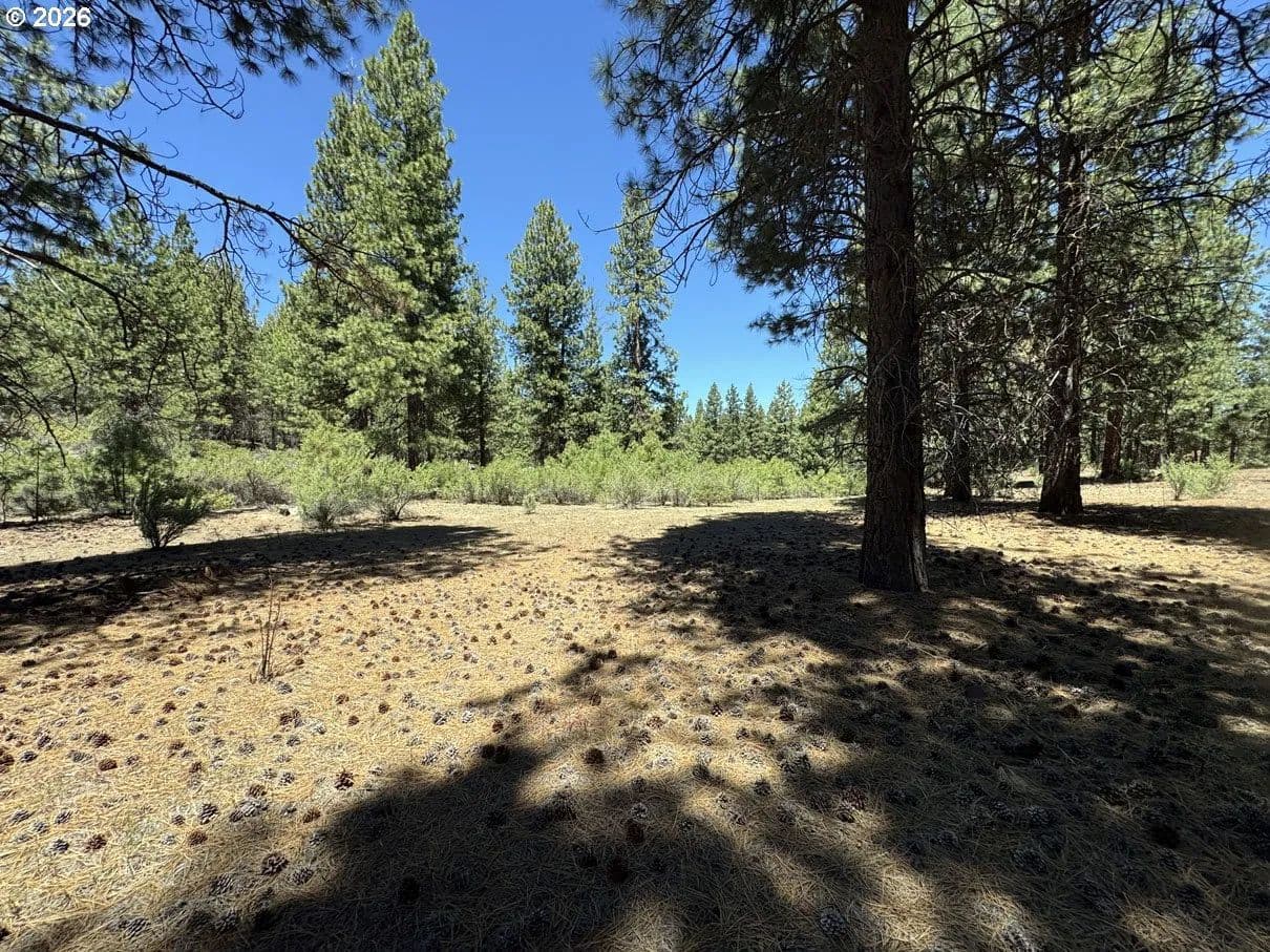 Property from Friendship DR #15 - KW - Chiloquin, Oregon, 97624