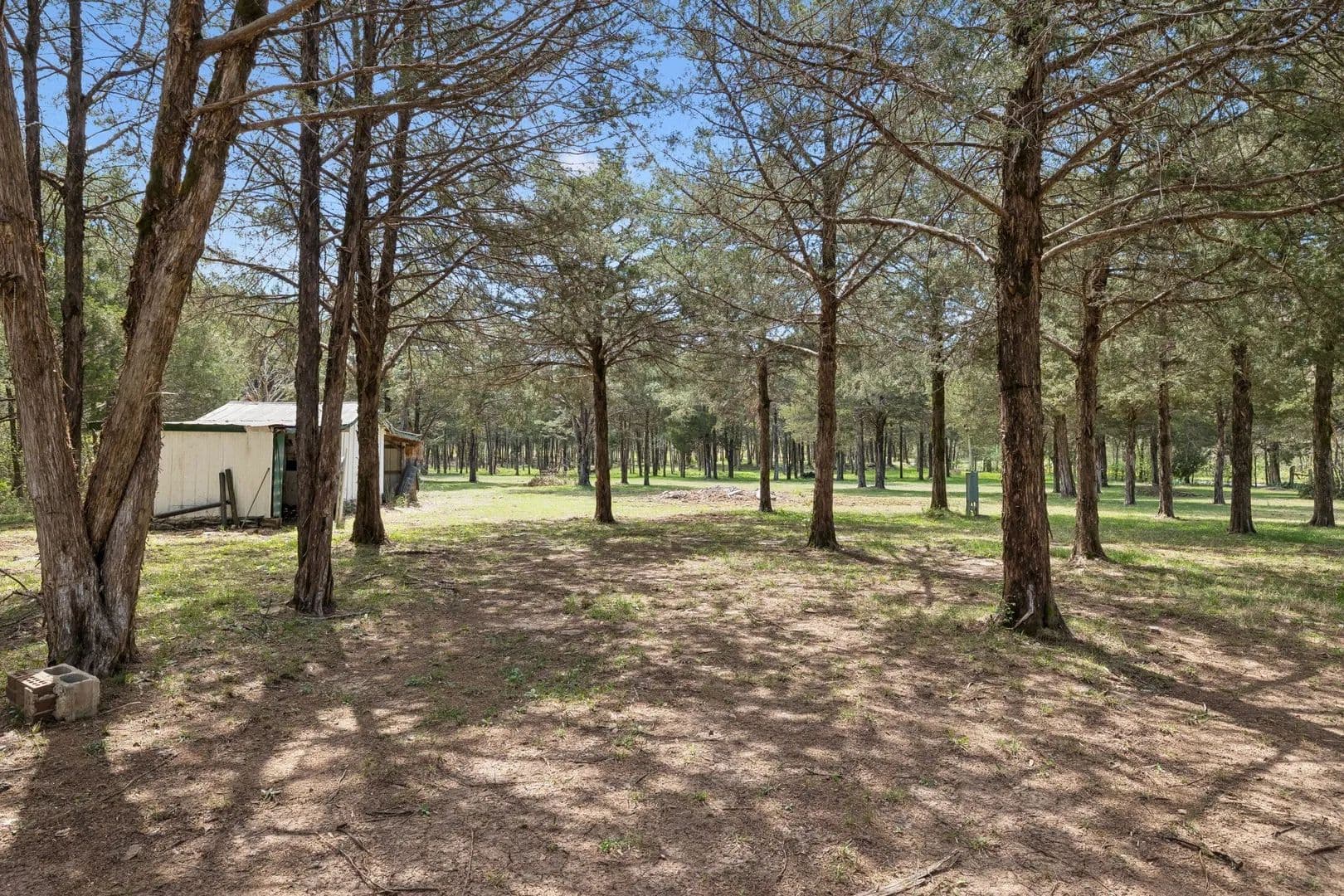 Property from 160 Osteen Ln - KW - Chapel Hill, Tennessee, 37034