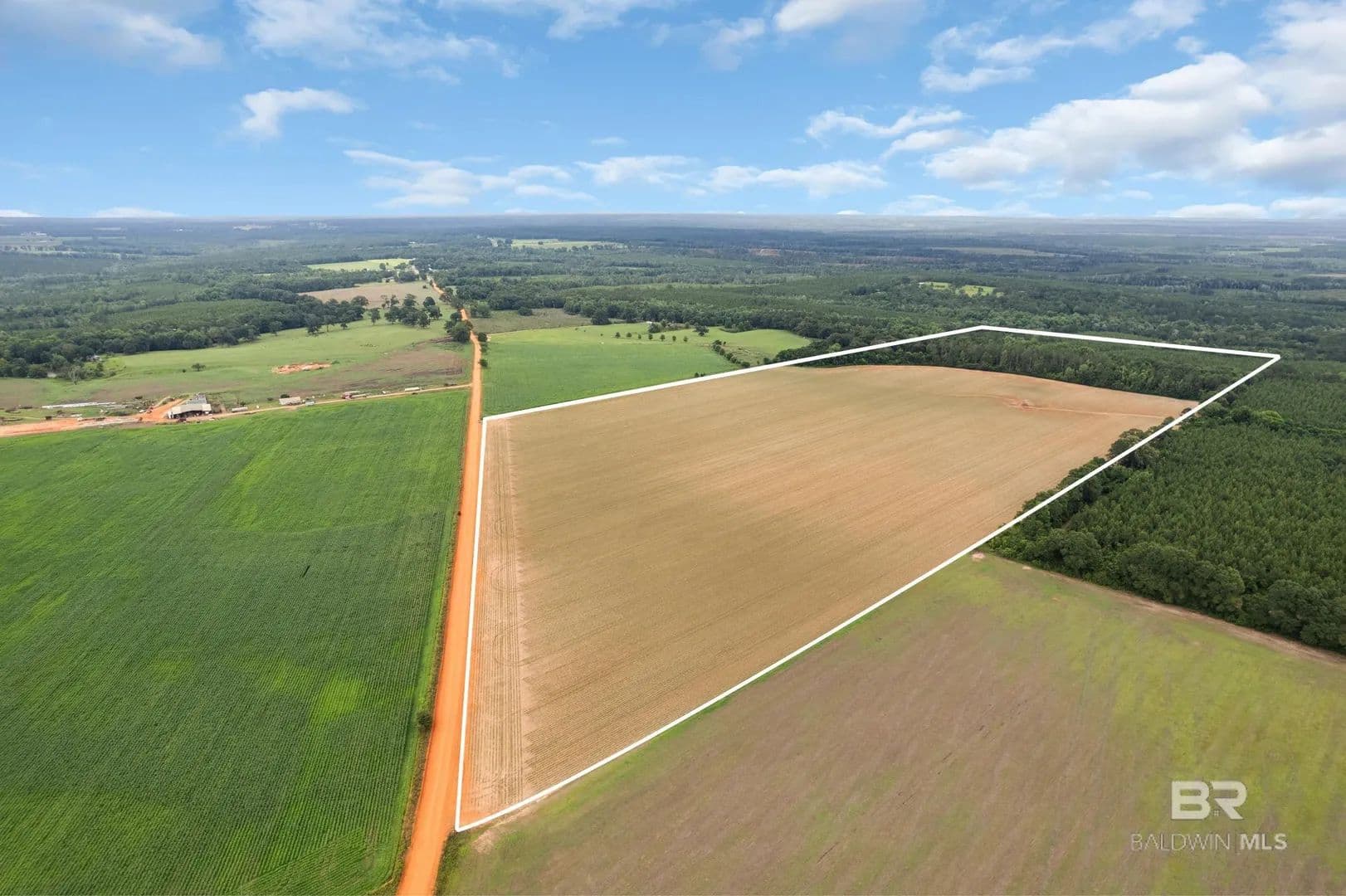 76 Acres of Land for Sale in Repton, AL - Repton, Alabama, 36475