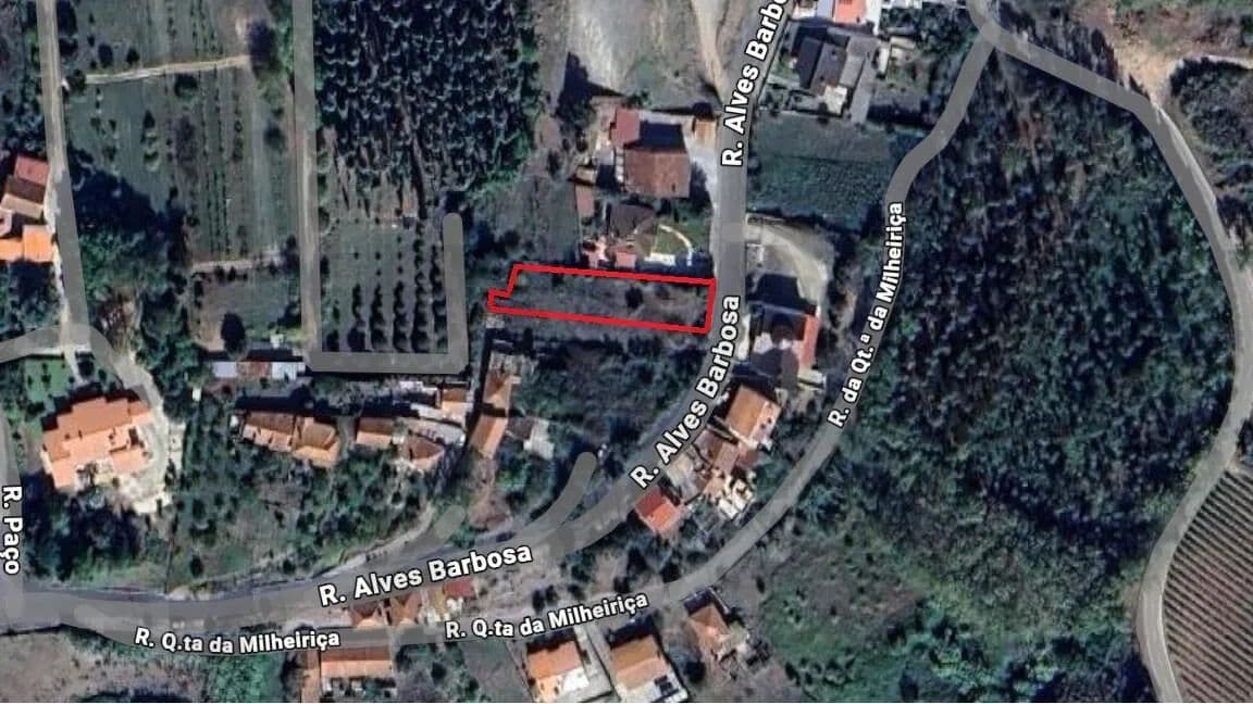 1370 Acres of Land for Sale in Sangalhos, Anadia - land for sale